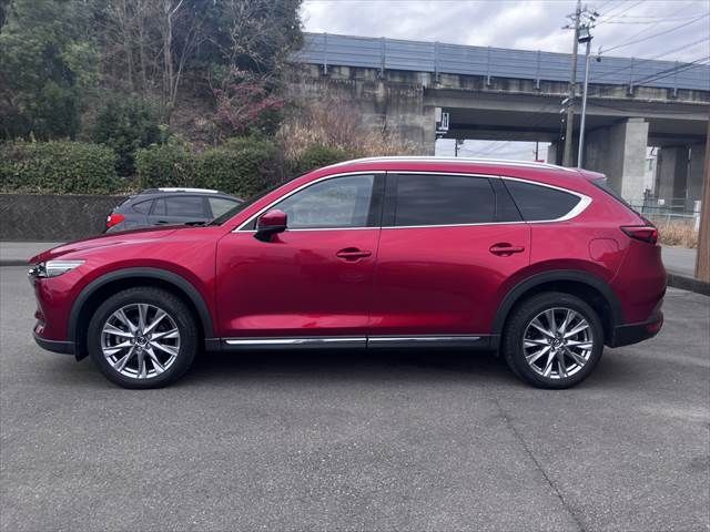 CX-8