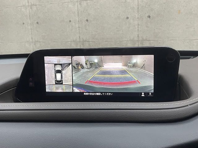 CX-30