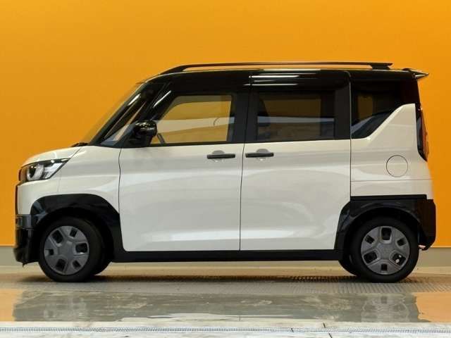DELICA MINI