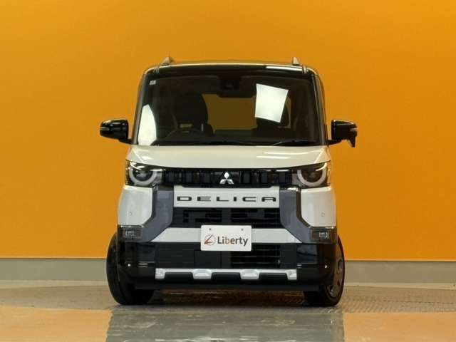 DELICA MINI