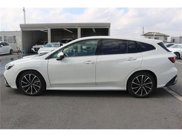 LEVORG