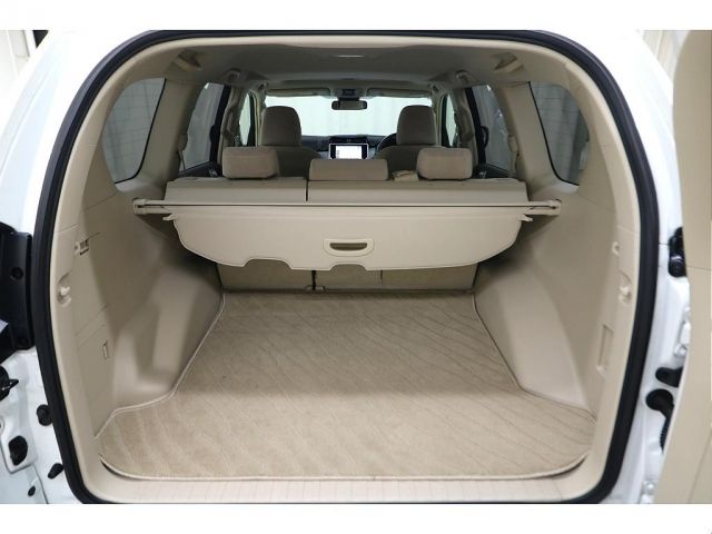 LANDCRUISER PRADO