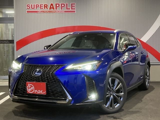 LEXUS UX250h AWD