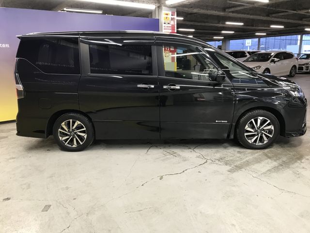 SERENA  S-HYBRID