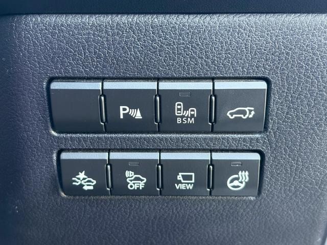 LEXUS NX300h
