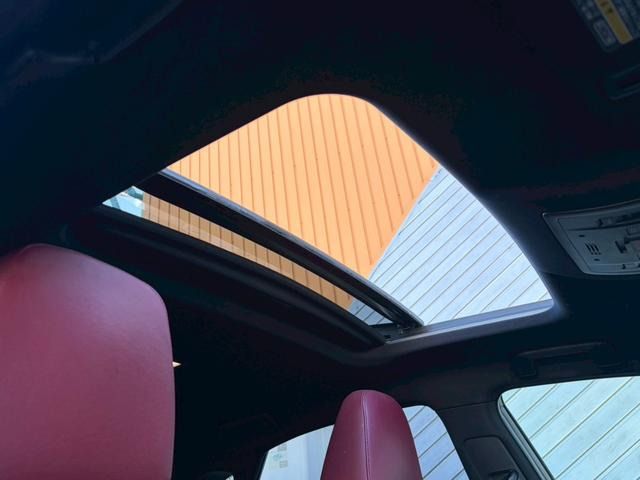 LEXUS NX300h