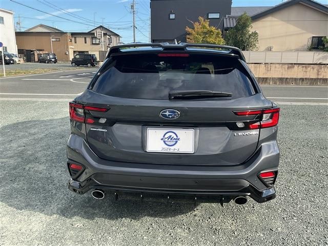 LEVORG