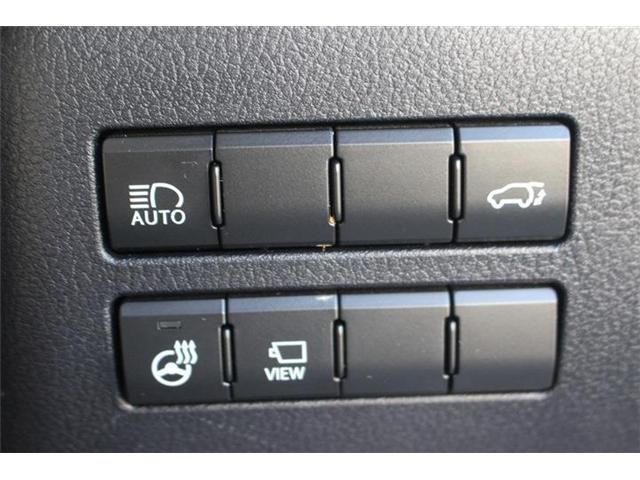 LEXUS NX300