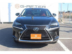 LEXUS NX300