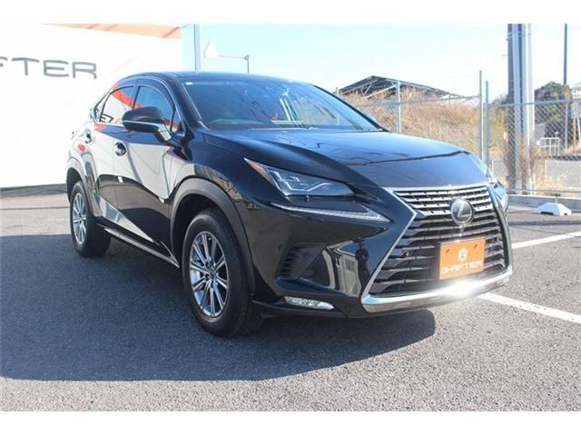 LEXUS NX300