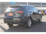 LEXUS NX300
