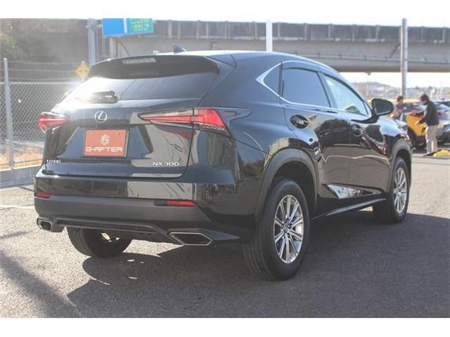 LEXUS NX300