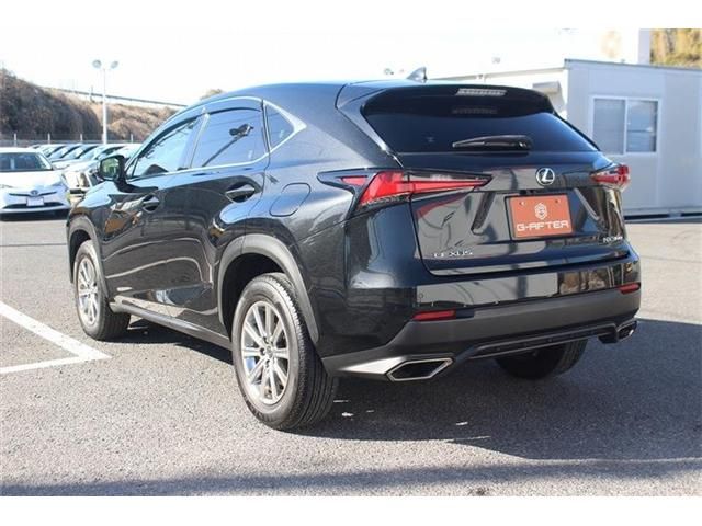 LEXUS NX300