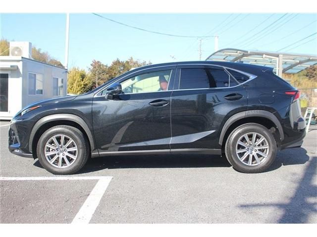 LEXUS NX300