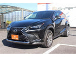 LEXUS NX300