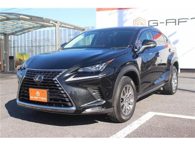LEXUS NX300
