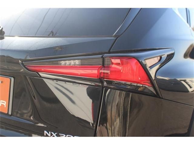 LEXUS NX300