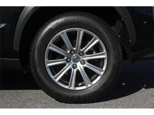 LEXUS NX300
