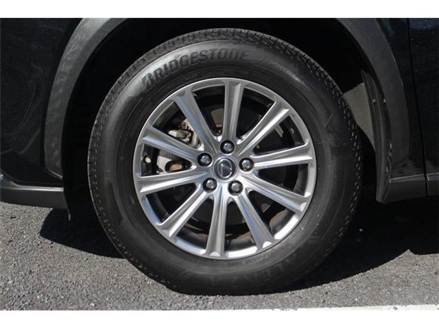 LEXUS NX300
