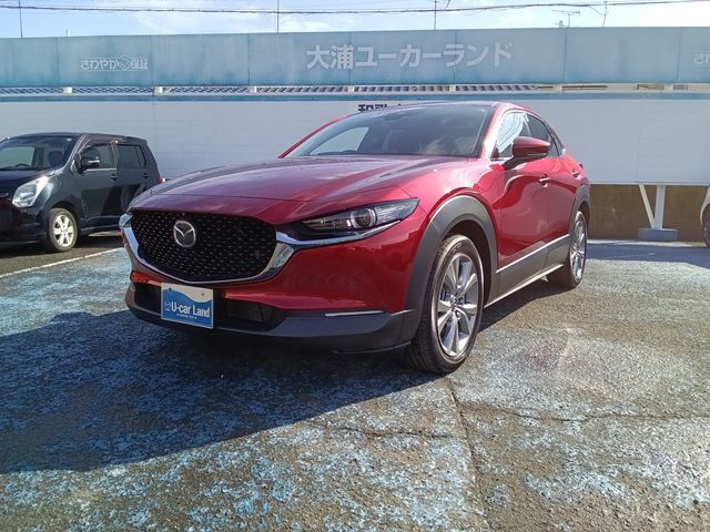 CX-30