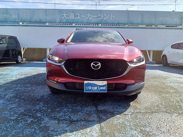 CX-30