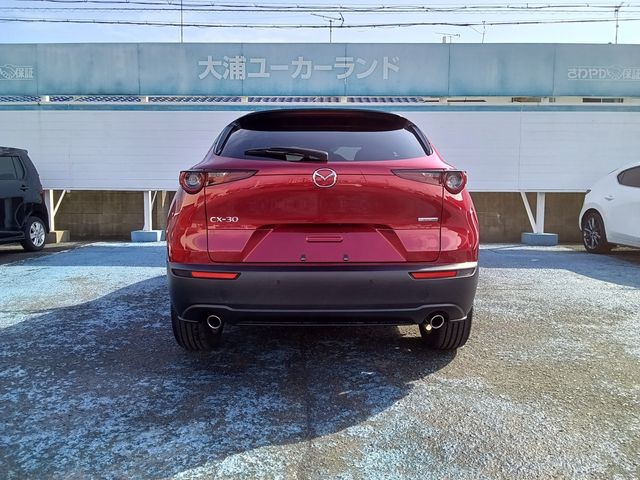 CX-30