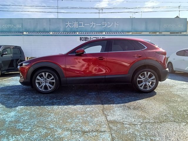 CX-30