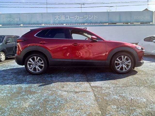 CX-30