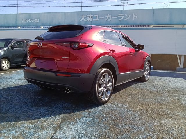 CX-30