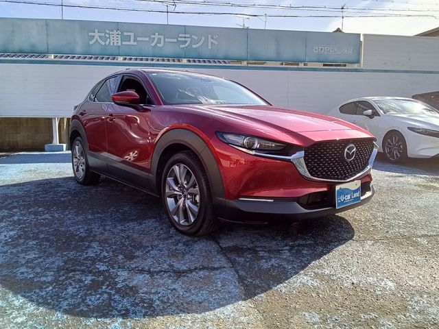 CX-30
