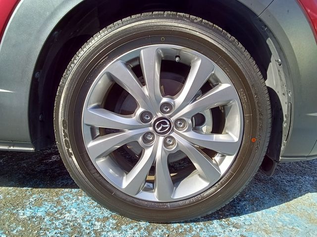 CX-30