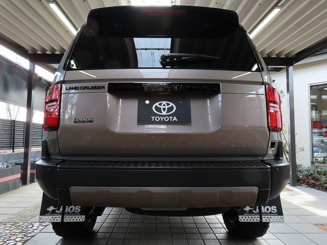 LANDCRUISER 250