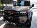 LANDCRUISER 250