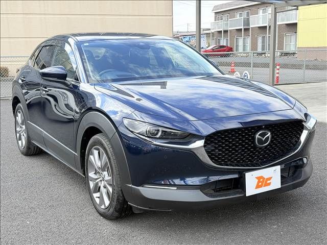 CX-30
