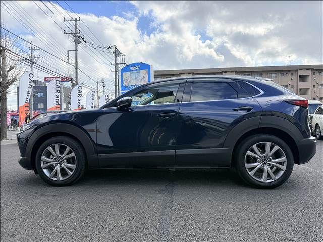 CX-30