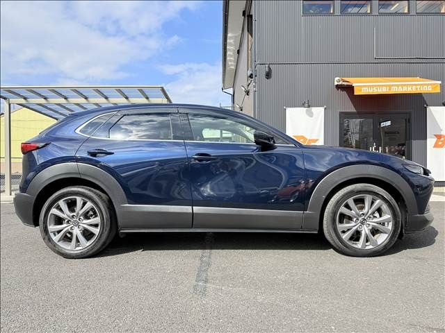 CX-30