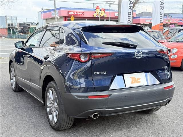 CX-30