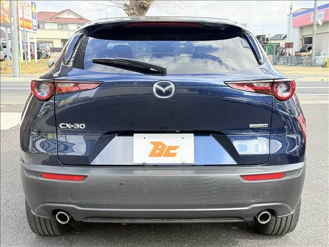 CX-30