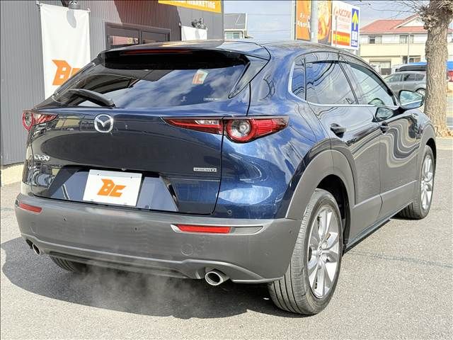 CX-30