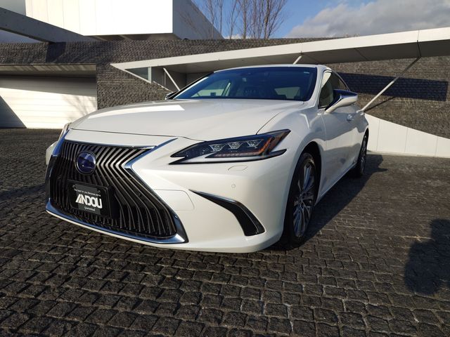 LEXUS ES300h