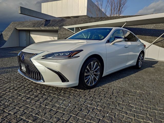 LEXUS ES300h
