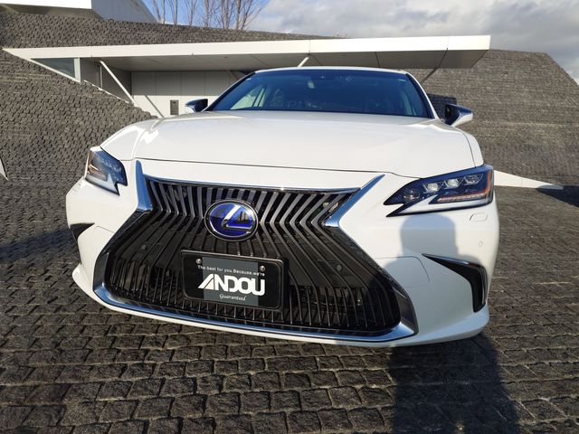 LEXUS ES300h