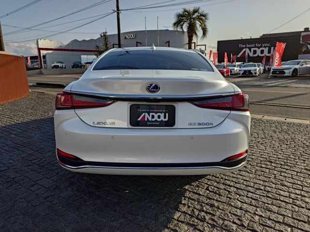 LEXUS ES300h
