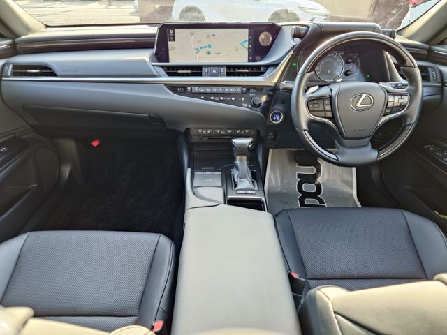 LEXUS ES300h
