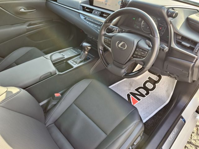 LEXUS ES300h