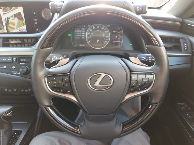 LEXUS ES300h