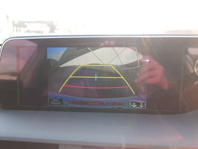 LEXUS ES300h
