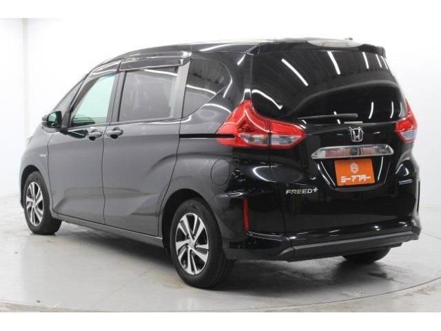 FREED plus HYBRID