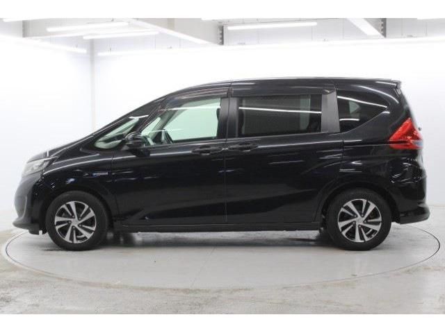 FREED plus HYBRID