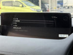 MX-30 Rotary-EV